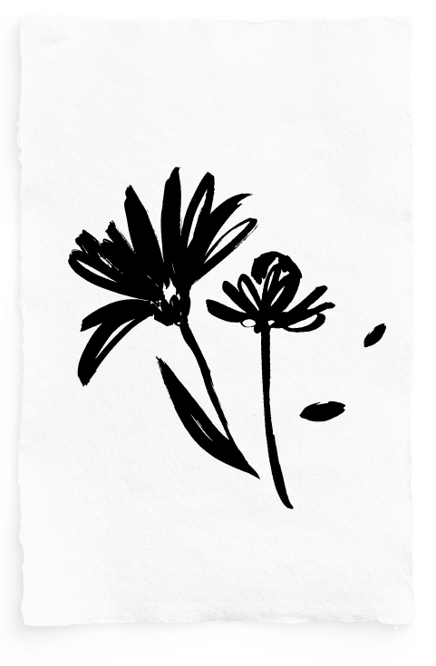 Alt image
