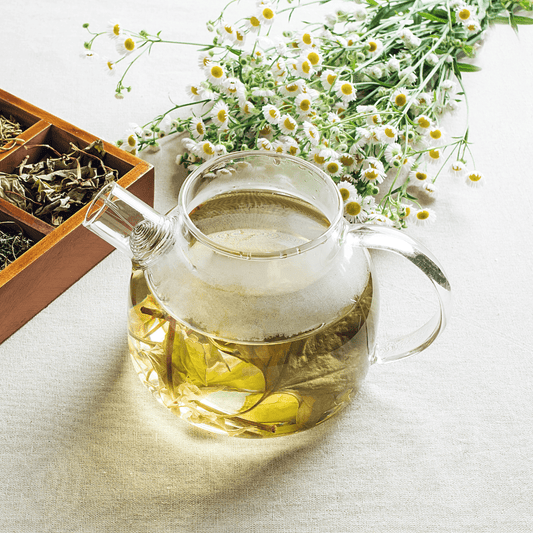 What is Chinese Tea? Our Guide to Chinese Tea Types and Benefits